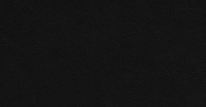 Sedia da pranzo Scanden