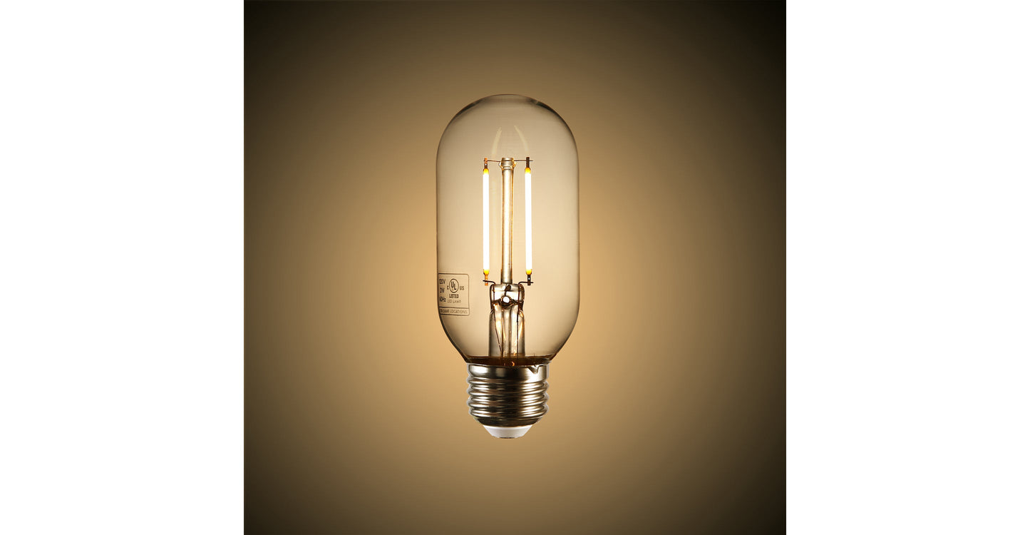 Lampadina a filamento LED trasparente Kashan T14