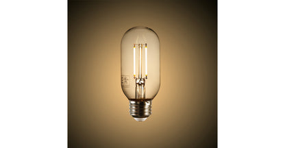 Lampadina a filamento LED trasparente Kashan T14