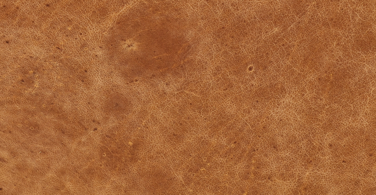 Divano appartamento Calle 75