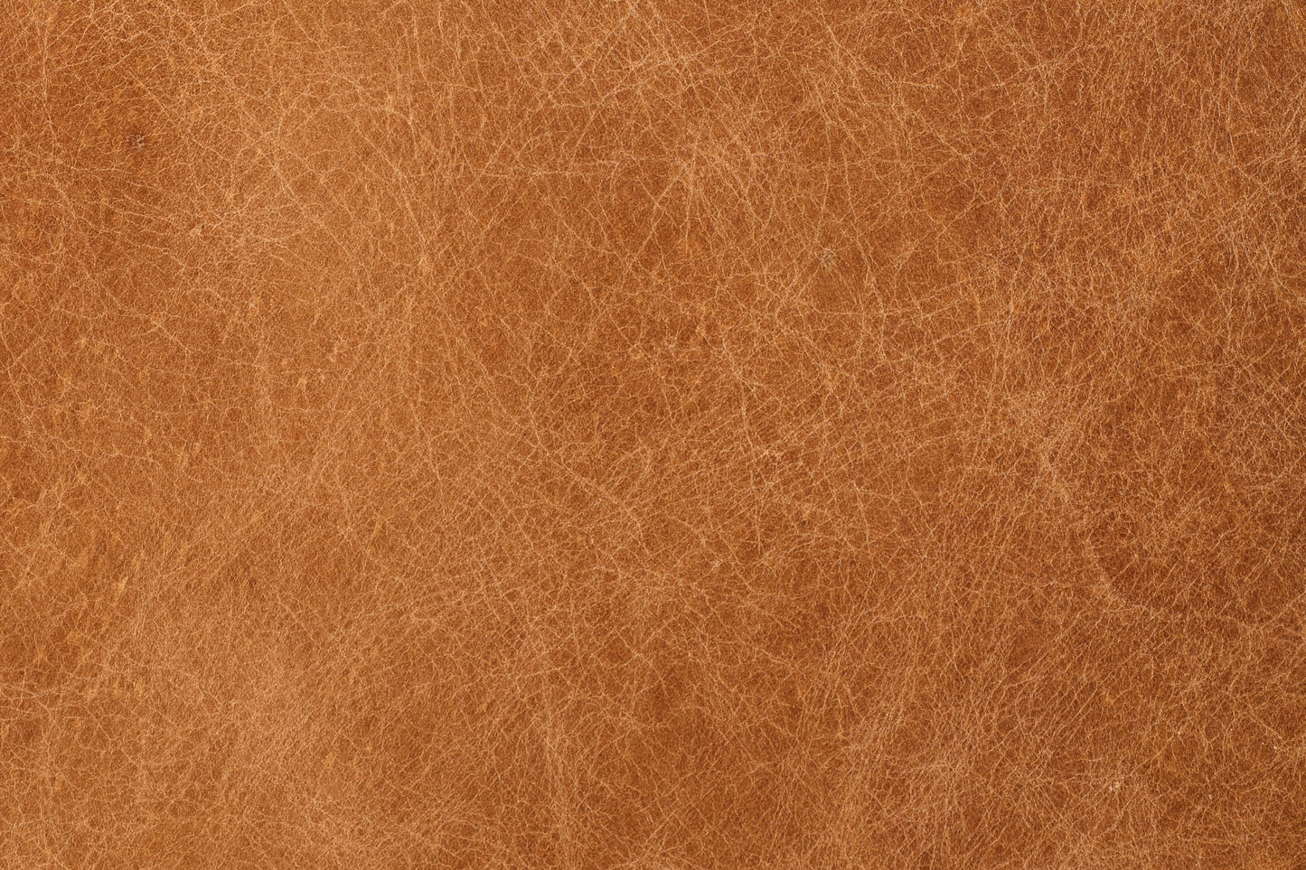 Divano in pelle Argan