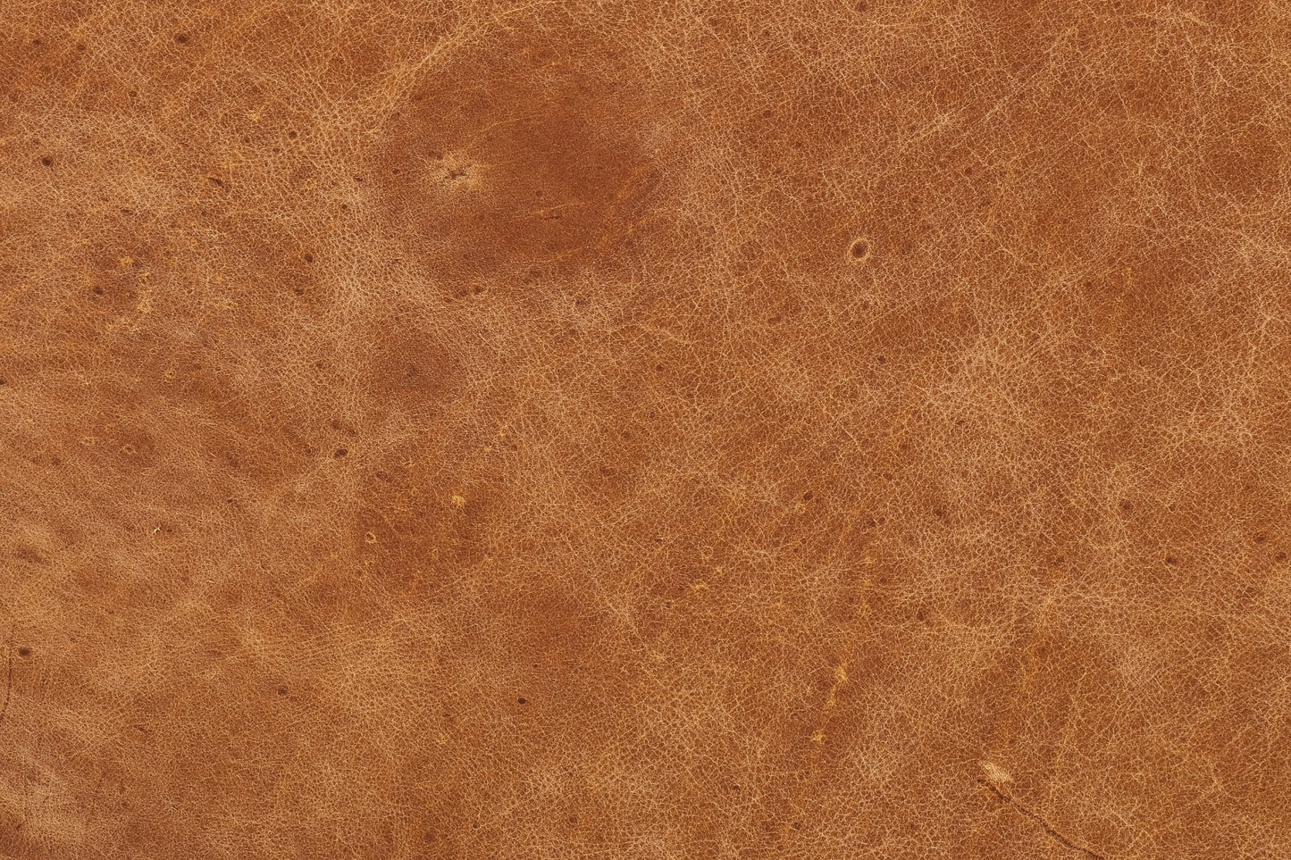 Divano in pelle Argan