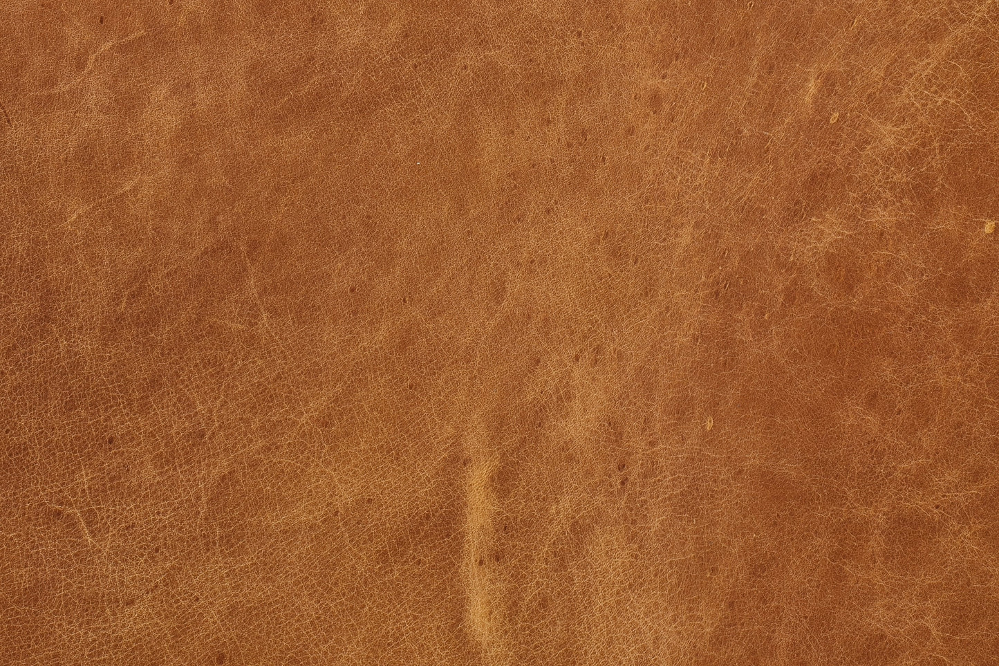 Divano in pelle Argan