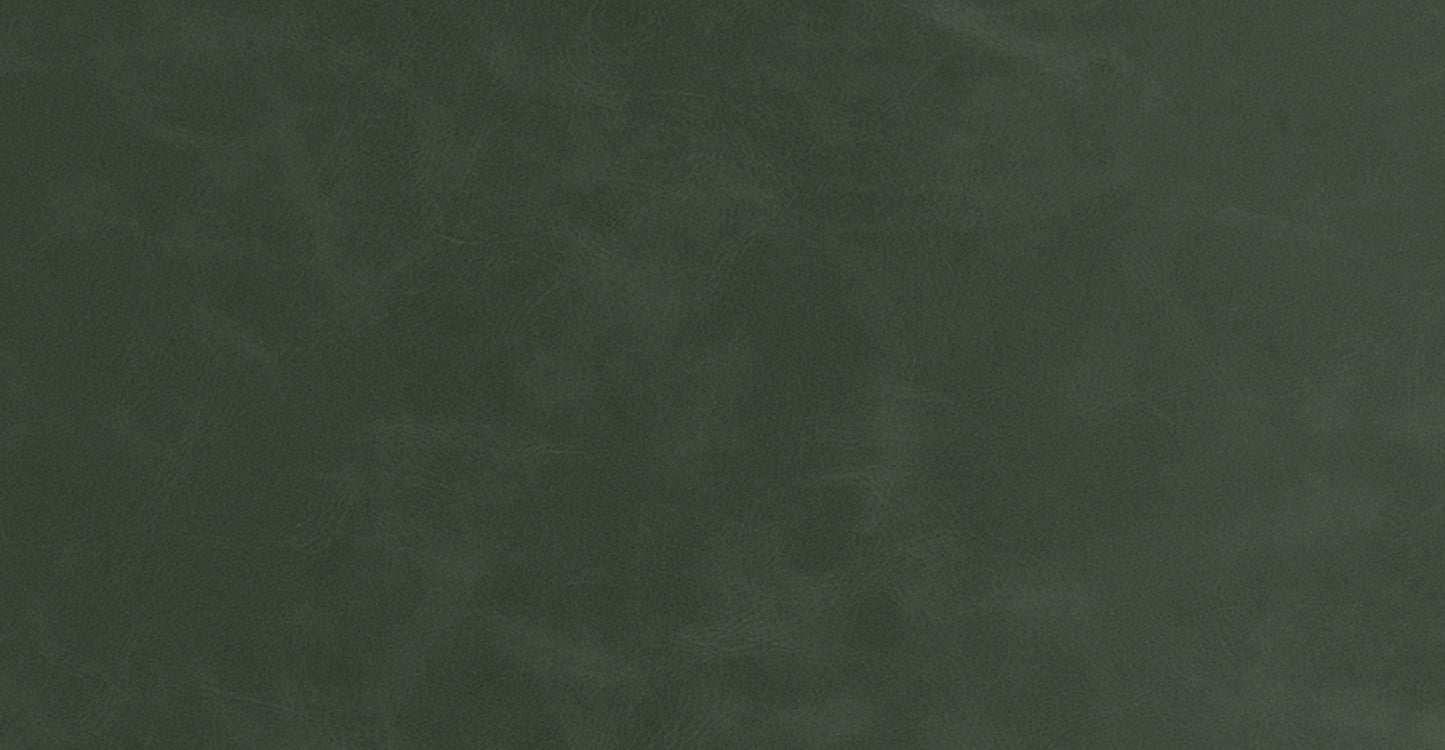 Sedia da pranzo Paxton